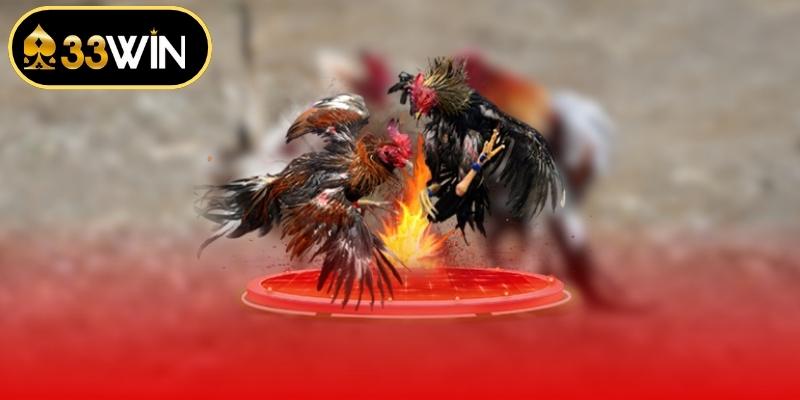 Hình thức tranh tài kê chiến kịch tính