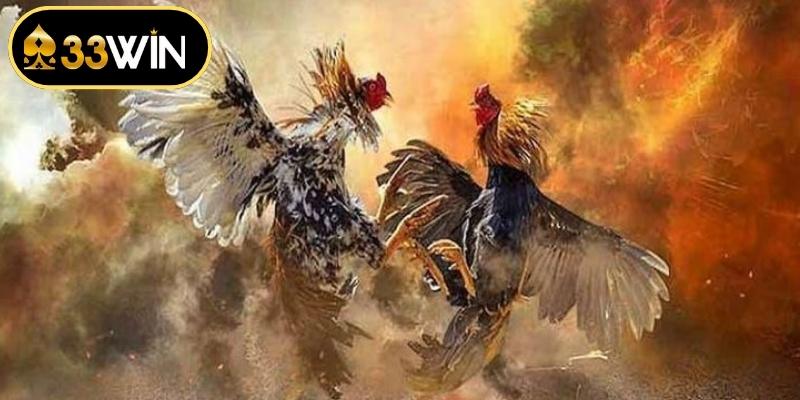 Nắm vững các kiến thức về cách chơi đá gà online